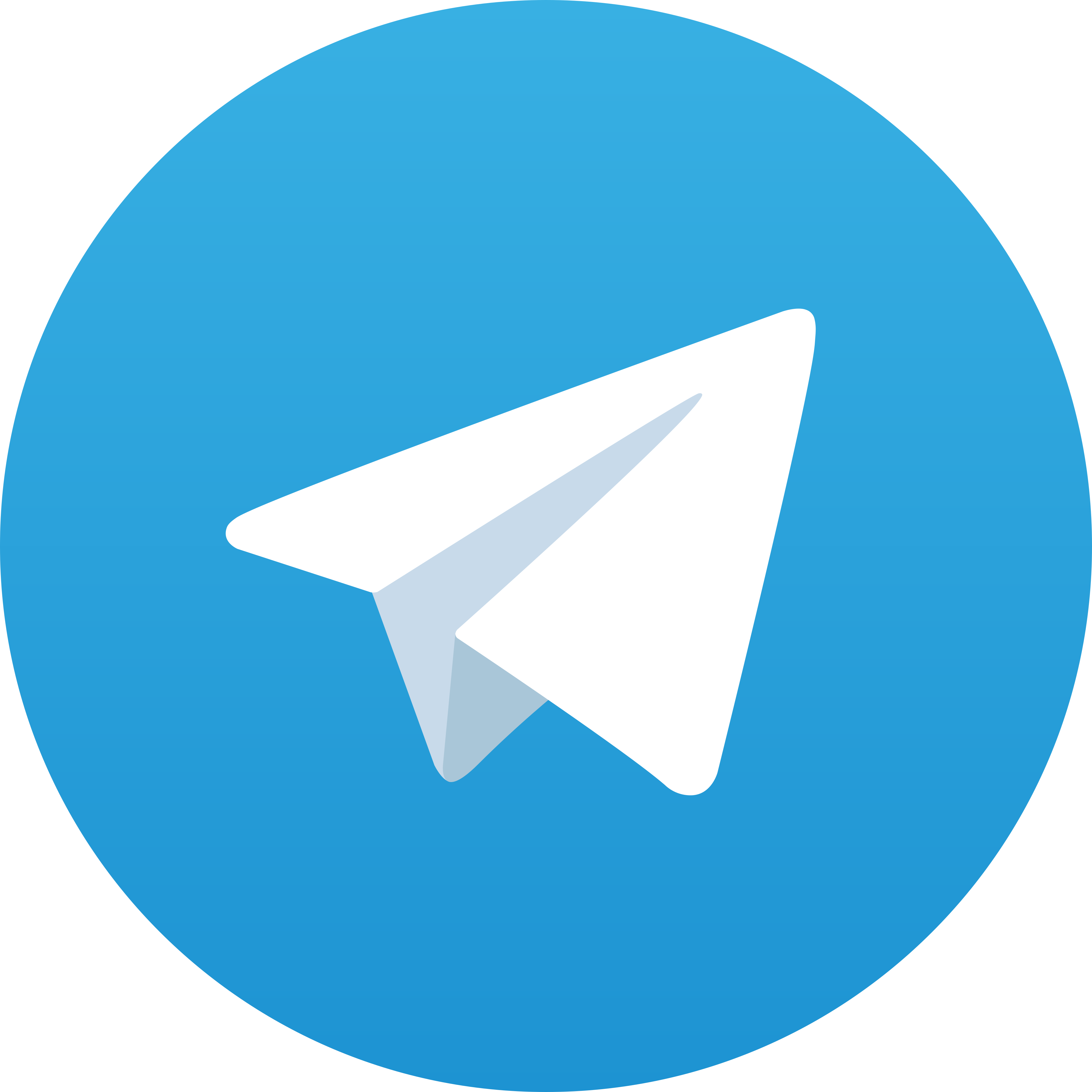 Telegram HALO778
